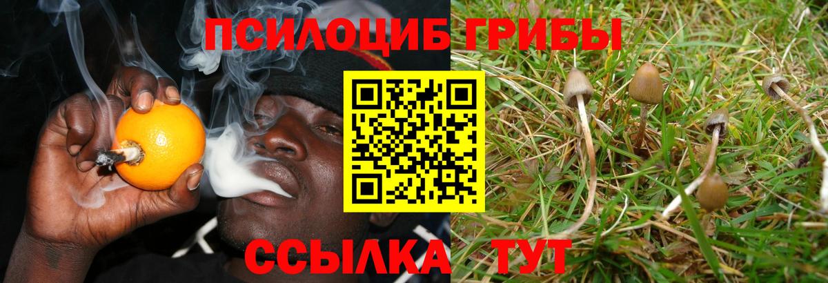 Галлюциногенные грибы прущие грибы  Галлюциногенные грибы Cubensis  Вход с VPN  Краснознаменск 